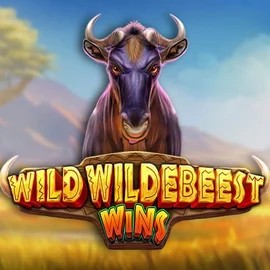 Wild Wildebeest Wins – slot by Pragmatic Play, featured at jackpot-bingo.com